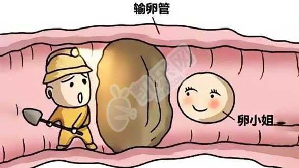 温州提供供卵试管价格_日本试管婴儿过程中，女性有哪些常见不适症状？